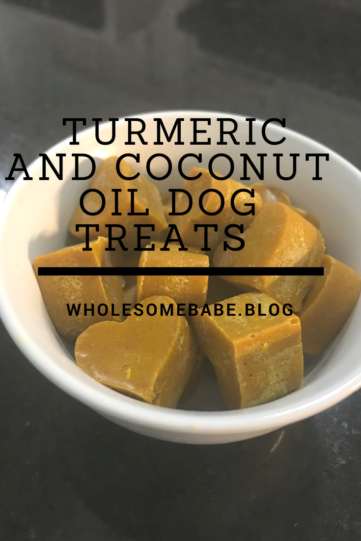 coconut oil turmeric dog treats